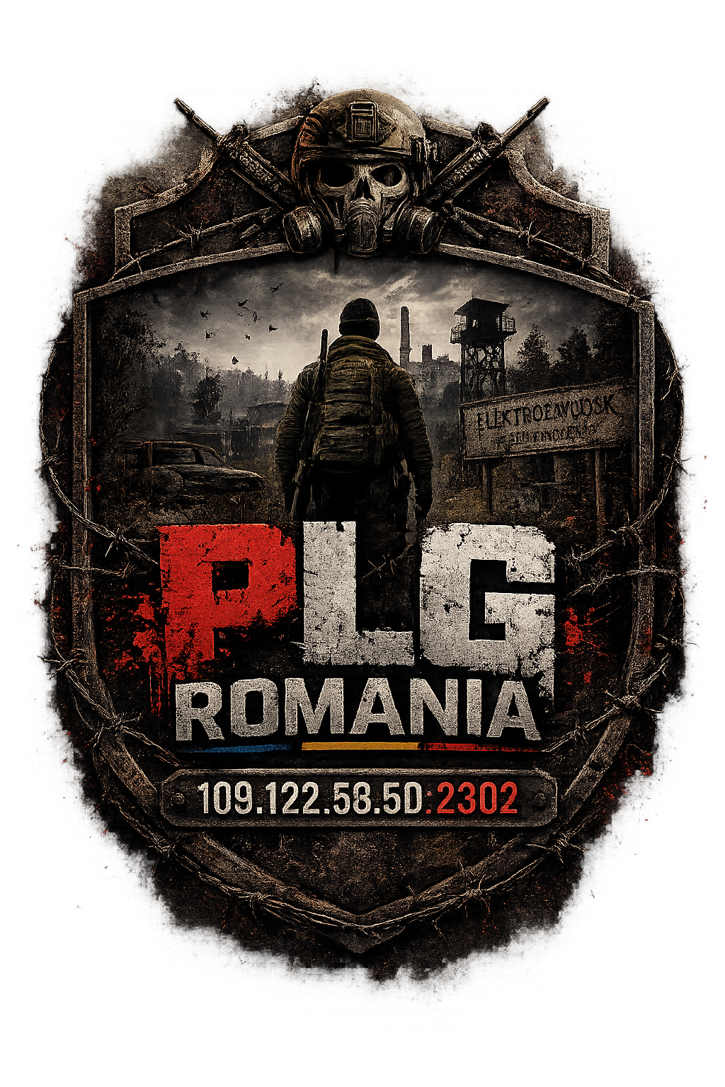 Banner PLG Romania DayZ cu IP server si Discord